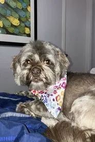 Cooper aparece en Lost Marbles  Cooper en Lost Marbles