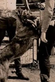 Dynamite the Dog en The Call of the Heart
