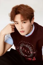 Retrato de Li Wenhan