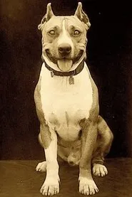 Luke the Dog en Fatty cartero