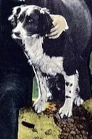 Rex the Dog en Bullets and Justice