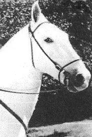 Silver King the Horse en Carrying the Mail