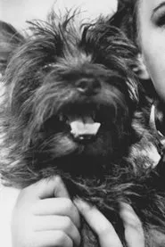 Retrato de Terry