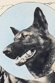 Wolfheart the Dog en The Big Stunt