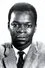 Brock Peters como Mr. Carmichael