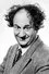 Larry Fine como Self