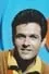 Mark Goddard como Vince Reeves