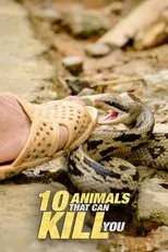 Póster de 10 Animals That Will Kill You