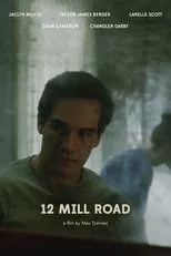 Póster de 12 Mill Road