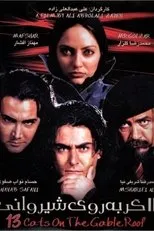 Póster de 13 Gorbe Rooye Shirvani