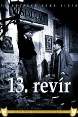 Póster de 13. revír