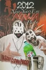 Póster de 2012 New Year's Eve Ninja Party