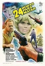 Póster de 24 horas para matar