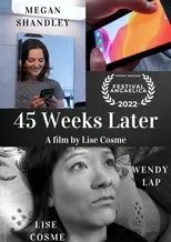 Póster de 45 Weeks Later