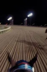Póster de 9 Races