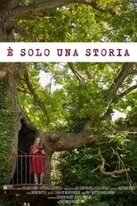 Póster de È solo una storia