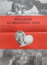 Póster de Întoarcere la dragostea dintâi
