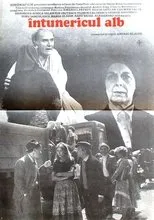 Póster de Întunericul alb