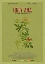 Póster de Ögey Ana