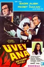 Póster de Üvey Ana