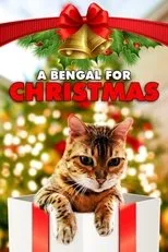 Póster de A Bengal for Christmas