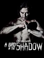 Póster de A Bird In The Shadow