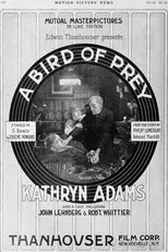 Póster de A Bird of Prey