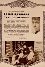 Póster de A Bit of Kindling