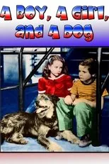 Póster de A Boy, a Girl and a Dog