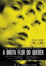 Póster de A Bruta Flor do Querer