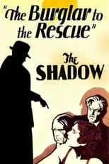 Póster de A Burglar to the Rescue