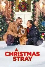 Póster de A Christmas Stray