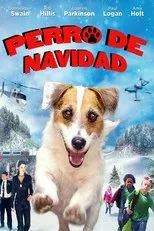 Póster de A Doggone Christmas