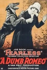 Póster de A Dumb Romeo