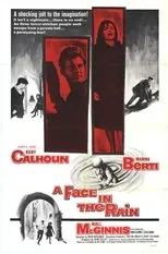 Póster de A Face in the Rain