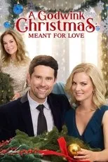 Póster de A Godwink Christmas: Meant For Love