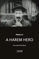 Póster de A Harem Hero