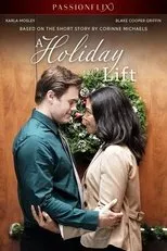 Póster de A Holiday Lift