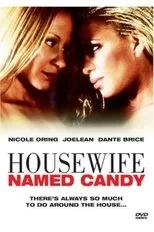 Póster de A Housewife Named Candy