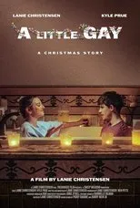 Póster de A Little Gay