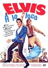 Póster de A lo loco