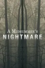 Póster de A Midsummer's Nightmare