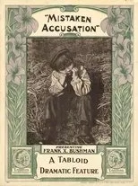 Póster de A Mistaken Accusation