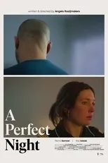 Póster de A Perfect Night