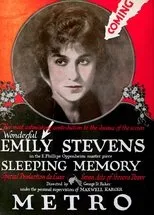 Póster de A Sleeping Memory