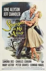 Póster de A Stranger in My Arms