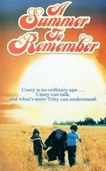 Póster de A Summer to Remember