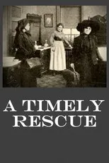 Póster de A Timely Rescue