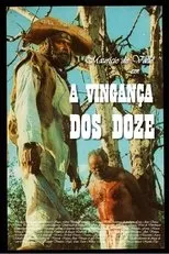 Póster de A Vingança dos Doze