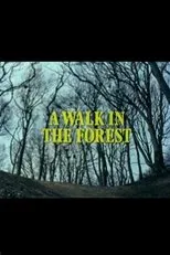 Póster de A Walk in the Forest